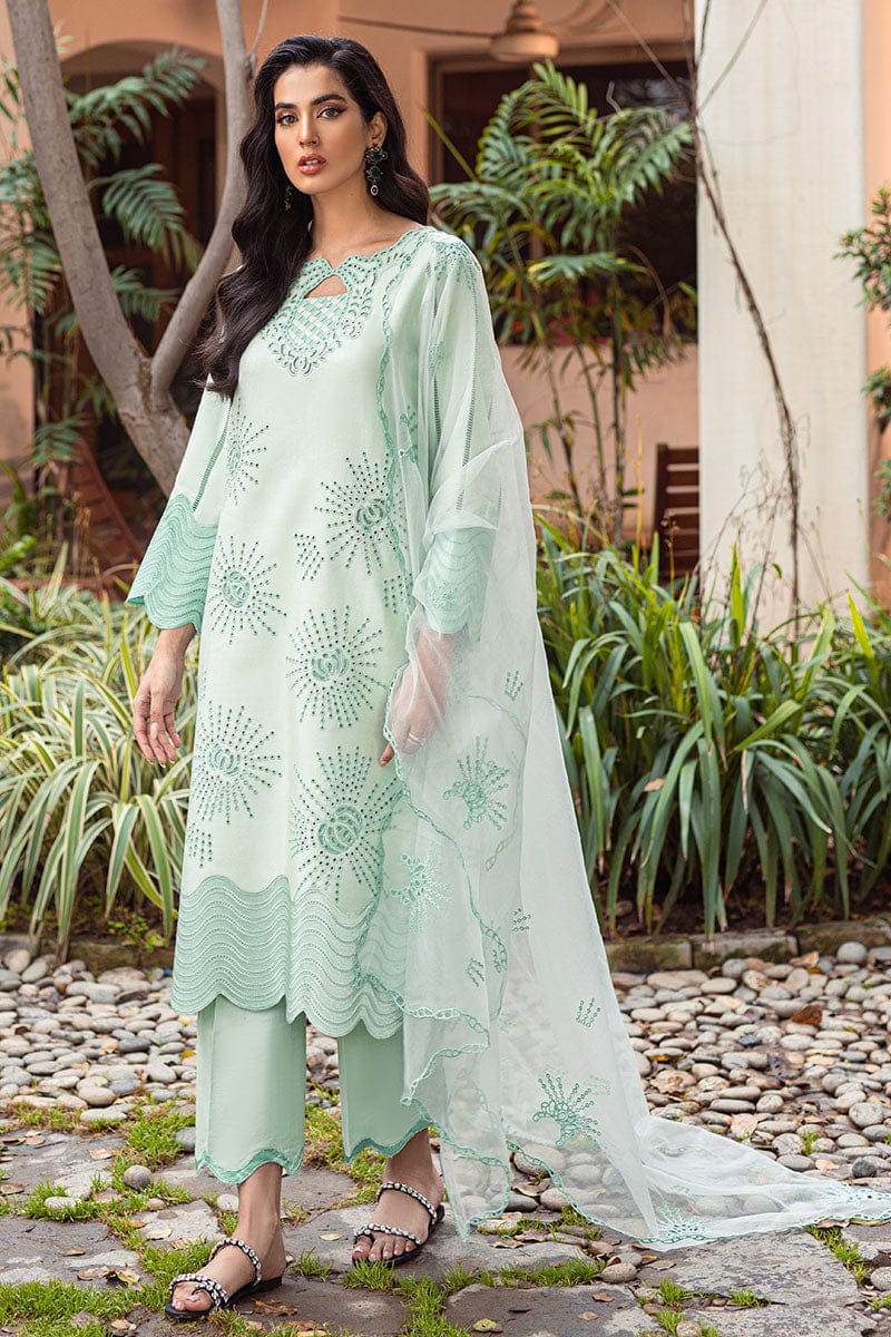 Mushq Cotton
