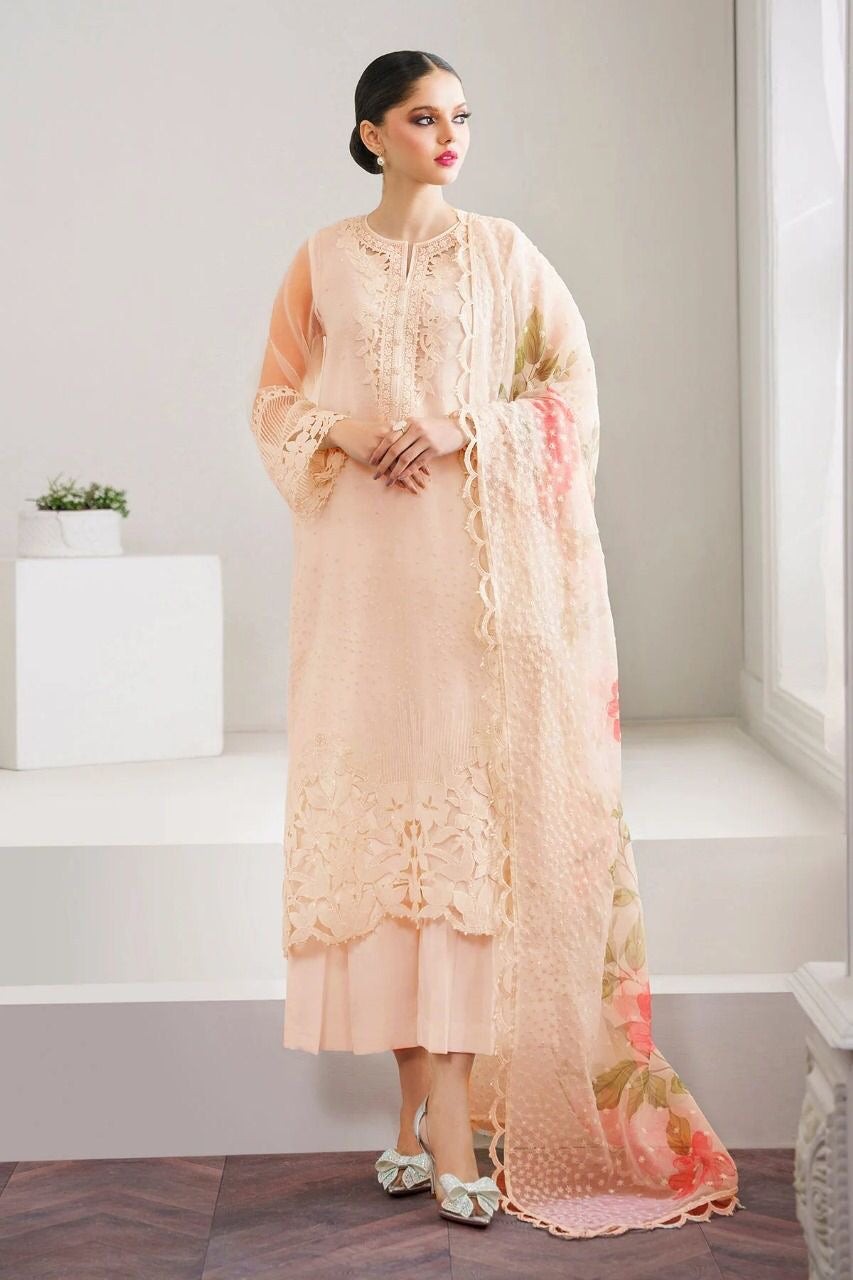 Barooque LUXURY FESTIVE COLLECTION