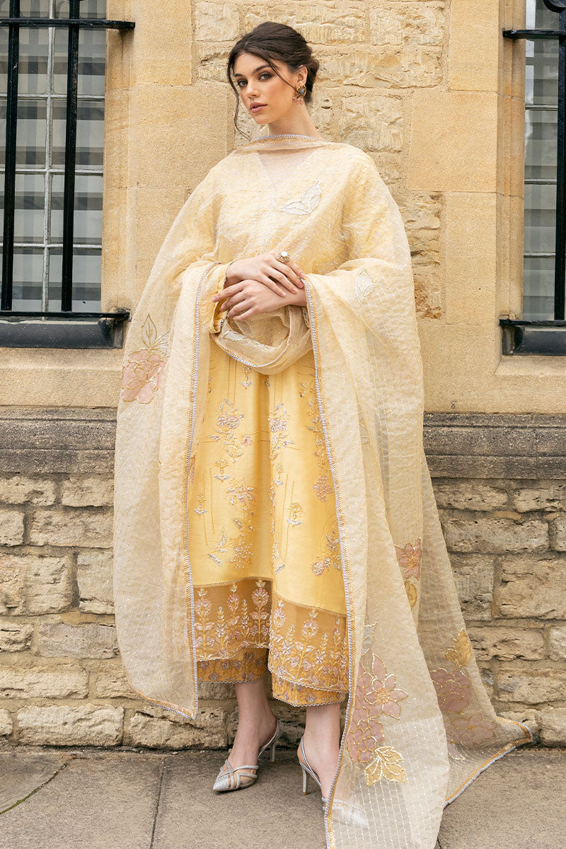 MUSHQ ORGANZA