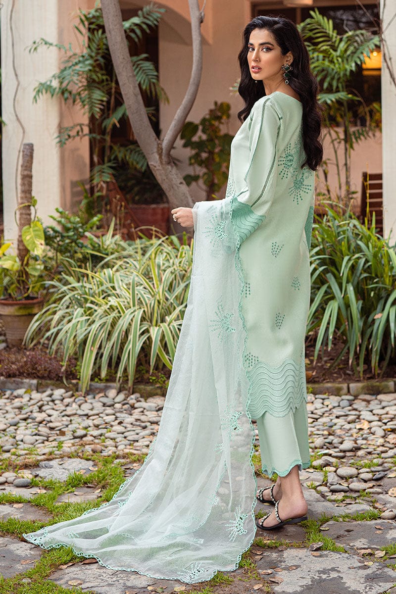 Mushq Cotton